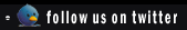 follow us on twitter